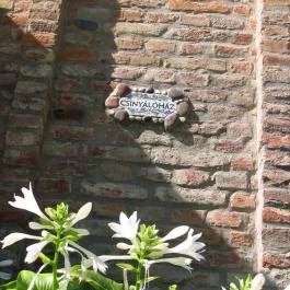 Cserépmadár Szállás Velemér - Egyéb