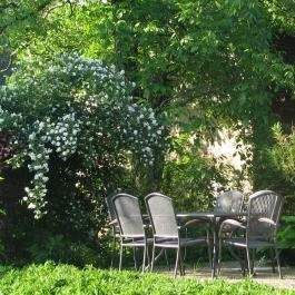 Cserépmadár Szállás Velemér - Egyéb