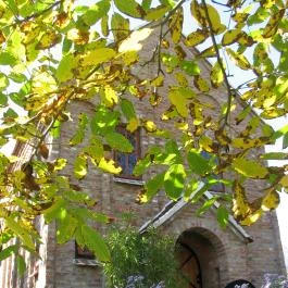 Cserépmadár Szállás Velemér - Egyéb