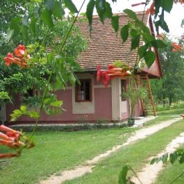 Cserépmadár Szállás Velemér - Egyéb