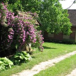 Cserépmadár Szállás Velemér - Egyéb