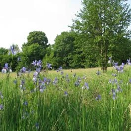 Cserépmadár Szállás Velemér - Egyéb