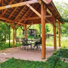 Csinyálóház Velemér - Medence/kert