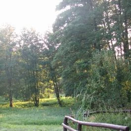 Csinyálóház Velemér - Medence/kert