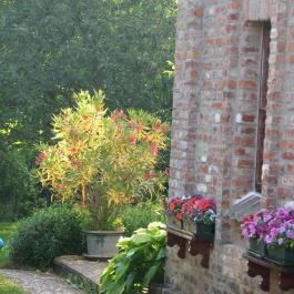 Csinyálóház Velemér - Medence/kert