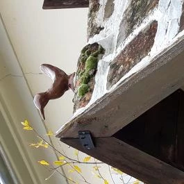 Csinyálóház Velemér - Külső kép