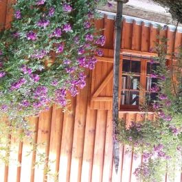 Csinyálóház Velemér - Külső kép