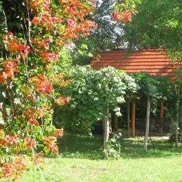 Csinyálóház Velemér - Egyéb