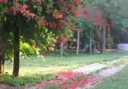 Csinyálóház Velemér