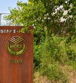 Bence-hegyi kilátó