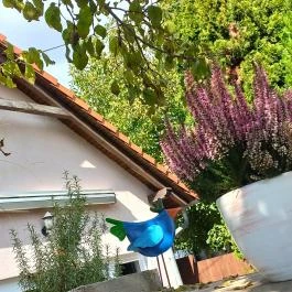 Hanga-lak Velence - Külső kép