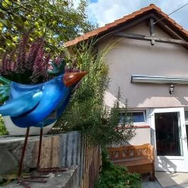 Hanga-lak Velence - Egyéb