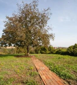 Maushaus Vendégház