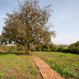 Maushaus Vendégház Véménd - Egyéb