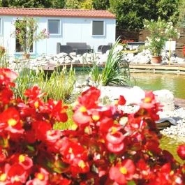 Aranykert Mobilház-Apartmanok Vének - Medence/kert