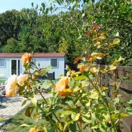 Aranykert Mobilház-Apartmanok Vének - Medence/kert