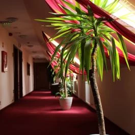 Libra Hotel Veresegyház - Belső