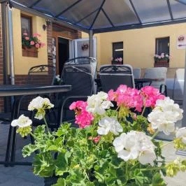 Libra Hotel Veresegyház - Medence/kert