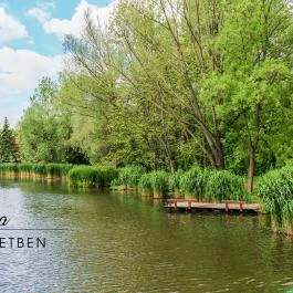 Tavi Panzió és Étterem Veresegyház - Egyéb