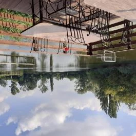 Tavi Panzió és Étterem Veresegyház - Egyéb