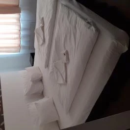 Tavi Panzió és Étterem Veresegyház - Egyéb