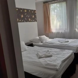 Tavi Panzió és Étterem Veresegyház - Egyéb