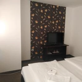 Tavi Panzió és Étterem Veresegyház - Egyéb