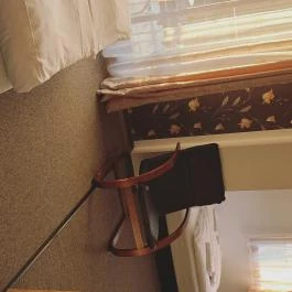 Tavi Panzió és Étterem Veresegyház - Egyéb