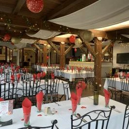 Tavi Panzió és Étterem Veresegyház - Egyéb