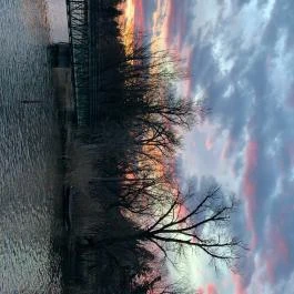 Tavi Panzió és Étterem Veresegyház - Egyéb