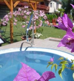 Borostyán Vendégház