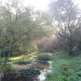 Villa Rigo Panzió Verpelét - Egyéb