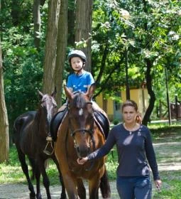 Fenyőharaszt Kastélyszálló