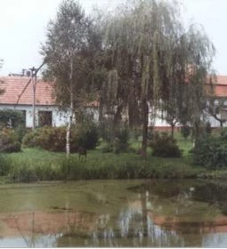 Erzsébet Vendégház