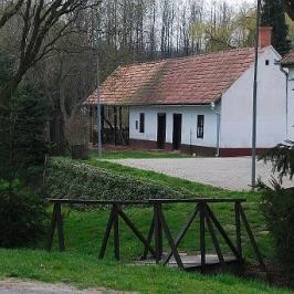 Erzsébet Vendégház Vése - Medence/kert