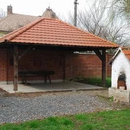 Erzsébet Vendégház Vése - Medence/kert