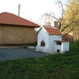 Erzsébet Vendégház Vése - Medence/kert