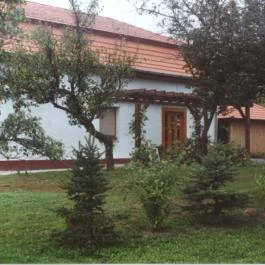 Erzsébet Vendégház Vése - Medence/kert