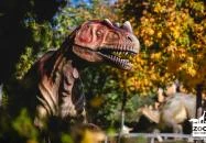 Veszprémi Állatkert Veszprém