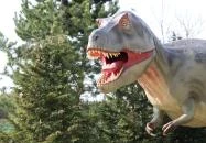 Veszprémi Állatkert Veszprém