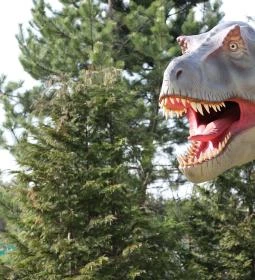 Veszprémi Állatkert