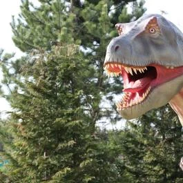 Veszprémi Állatkert Veszprém - Egyéb