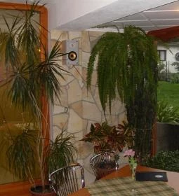 Borcsi Sport Panzió