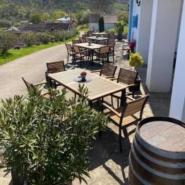 Blum Vendégház & Pince Villány - Medence/kert