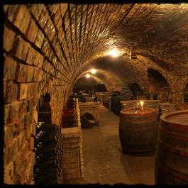 Blum Vendégház & Pince Villány - Vendéglátás