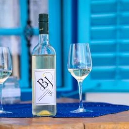 Blum Vendégház & Pince Villány - Egyéb