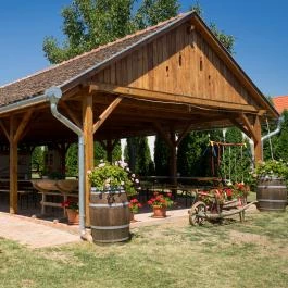 Blum Vendégház & Pince Villány - Medence/kert