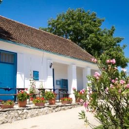 Blum Vendégház & Pince Villány - Vendéglátás