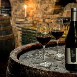 Blum Vendégház & Pince Villány - Vendéglátás