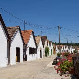 Blum Vendégház & Pince Villány - Vendéglátás